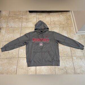 Nike Dri-Fit baseball  Therma Pullover Hoodie Men’s Size Large , gray color